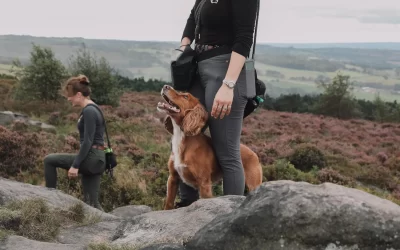 Social Walk @ Arley Moss